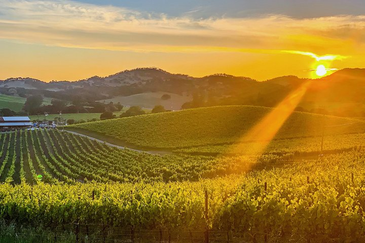 Private Wine Country Tour Including Photography Services - Photo 1 of 25